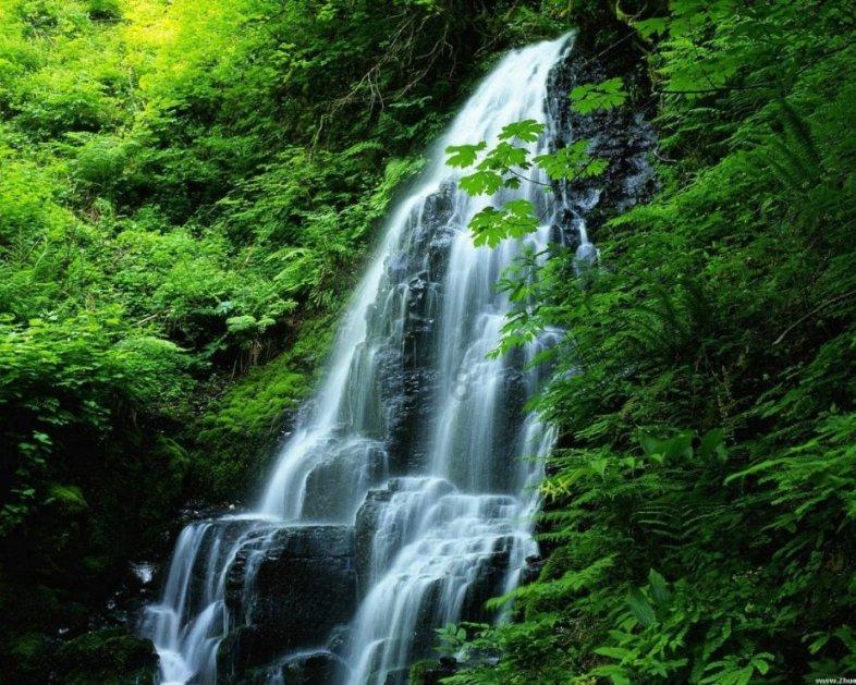 植物大战僵尸21